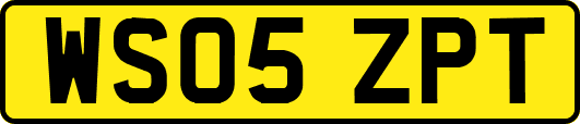 WS05ZPT