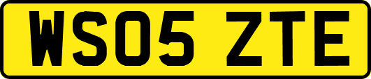 WS05ZTE