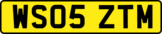 WS05ZTM
