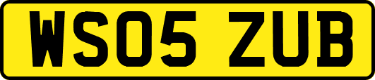 WS05ZUB
