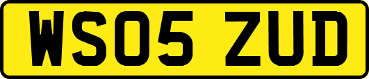 WS05ZUD
