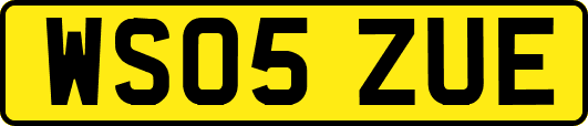 WS05ZUE