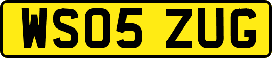 WS05ZUG