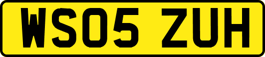 WS05ZUH