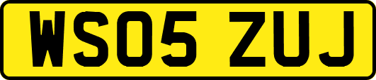 WS05ZUJ