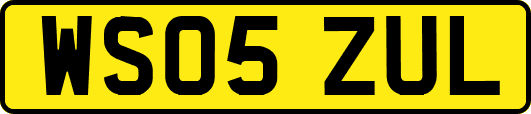 WS05ZUL