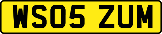 WS05ZUM