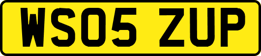 WS05ZUP