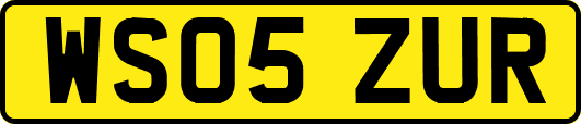 WS05ZUR