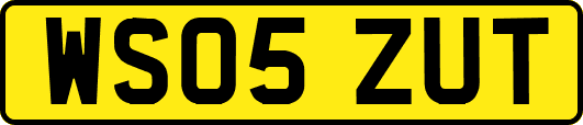 WS05ZUT