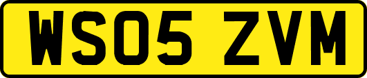 WS05ZVM