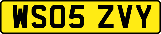 WS05ZVY