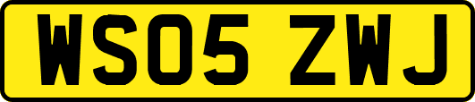 WS05ZWJ