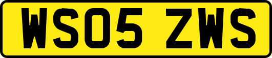 WS05ZWS