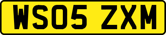 WS05ZXM