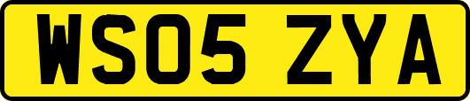 WS05ZYA