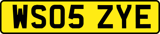 WS05ZYE
