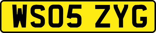 WS05ZYG