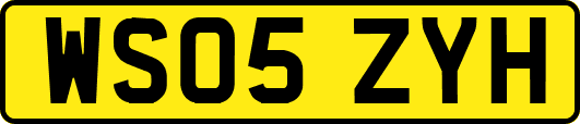WS05ZYH