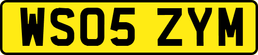 WS05ZYM