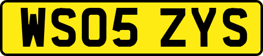 WS05ZYS