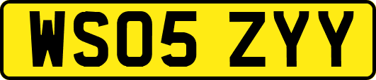 WS05ZYY