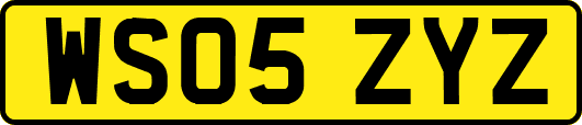 WS05ZYZ