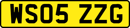 WS05ZZG