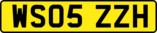 WS05ZZH