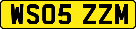 WS05ZZM