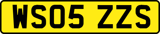 WS05ZZS