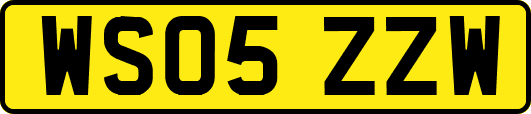 WS05ZZW