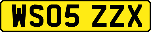 WS05ZZX