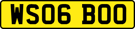 WS06BOO
