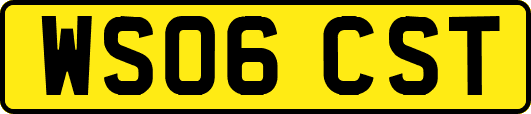 WS06CST