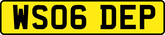 WS06DEP