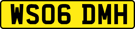 WS06DMH