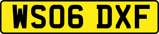 WS06DXF