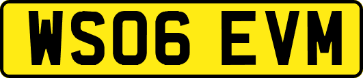 WS06EVM
