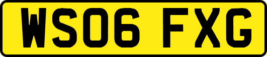 WS06FXG