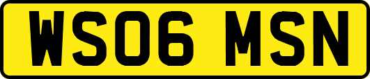 WS06MSN