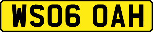 WS06OAH