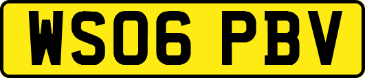 WS06PBV