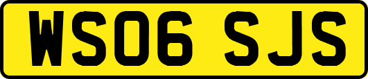 WS06SJS