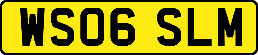 WS06SLM