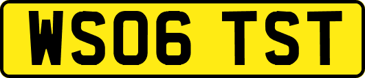 WS06TST