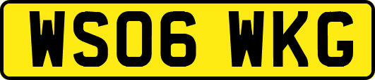 WS06WKG