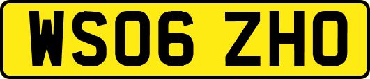 WS06ZHO