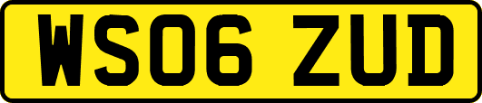 WS06ZUD