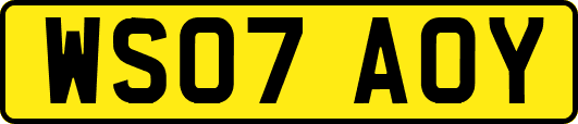 WS07AOY